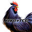 KikoTCGStore