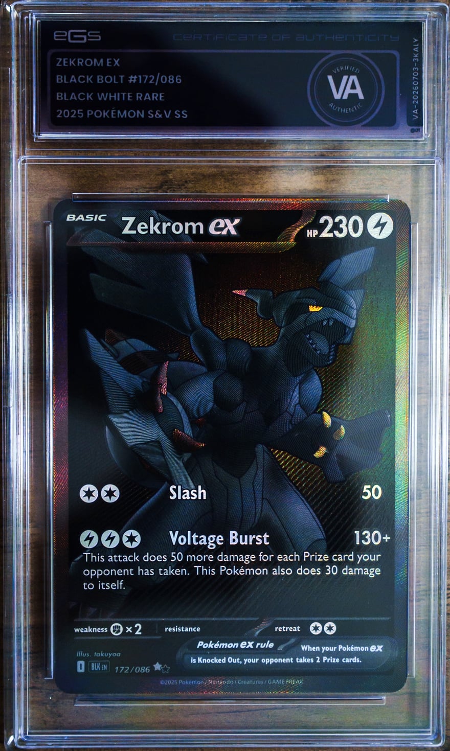 Frente de carta Zekrom ex verificada autentica encapsulada